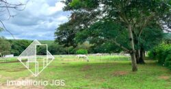 Haras na Região de Sorocaba/SP