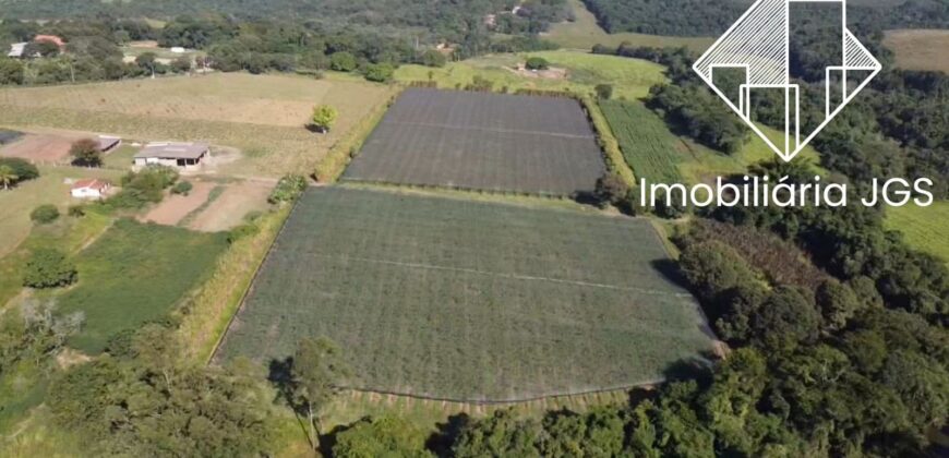 Sítio de 4 Alqueires com Boas Construções e Parreiras de Uva – Salto de Pirapora/SP
