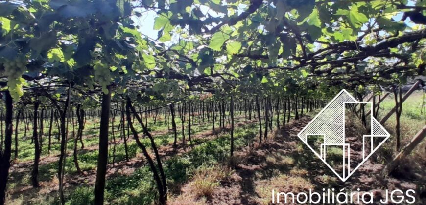Sítio de 4 Alqueires com Boas Construções e Parreiras de Uva – Salto de Pirapora/SP
