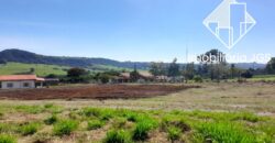 Sítio de 4 Alqueires com Boas Construções e Parreiras de Uva – Salto de Pirapora/SP