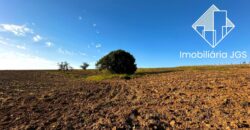 Excelente Área de 24.200 metros (1 alqueire) – Região de Sorocaba/SP