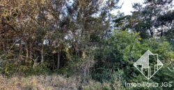 Excelente Área de 24.200 metros (1 alqueire) – Região de Sorocaba/SP