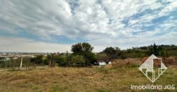 Lote de 250 metros com Escritura – Loteamento Santa Isabel