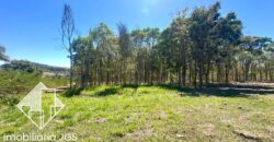 Área de 48.400 metros (2 Alqueires) – Salto de Pirapora/SP