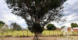 Terreno de 308 metros – Bairro Jundiaquara