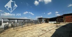 Sítio de 7 alqueires á Venda – Araçoiaba da Serra/SP