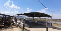 Sítio de 7 alqueires á Venda – Araçoiaba da Serra/SP