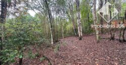 Chácara com o Contato com a Natureza – Salto de Pirapora/SP