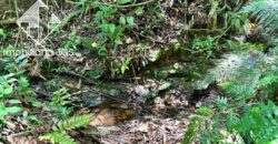 Chácara de 1.626 metros a Venda – Araçoiaba da Serra/SP