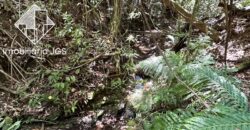 Chácara de 1.626 metros a Venda – Araçoiaba da Serra/SP