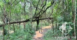 Chácara de 1.600 metros a venda em Salto de Pirapora/SP