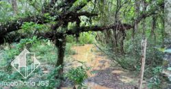 Chácara de 1.600 metros a venda em Salto de Pirapora/SP