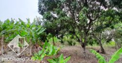 Chácara de 1.600 metros a venda em Salto de Pirapora/SP