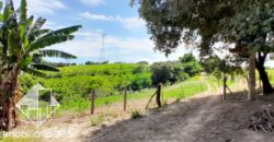 Sítio de 54 mil metros – Araçoiaba da Serra/SP