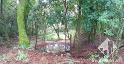 Oportunidade de Área de 20 mil metros – Bairro Jundiaquara