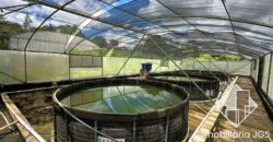 Imóvel Rural de 20 mil metros – Araçoiaba da Serra/SP