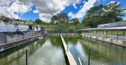 Imóvel Rural de 20 mil metros – Araçoiaba da Serra/SP