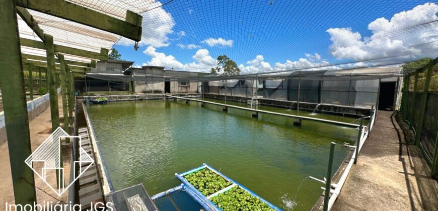 Imóvel Rural de 20 mil metros – Araçoiaba da Serra/SP