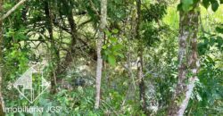 Sítio de 2 alqueires próximo da Raposo Tavares – Araçoiaba da Serra/SP