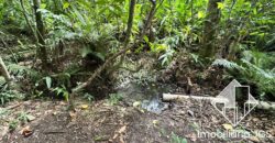 Terreno de 2.374 metros com Lago e nascentes – Araçoiaba da Serra