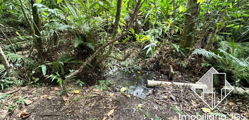 Terreno de 2.374 metros com Lago e nascentes – Araçoiaba da Serra