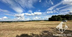 Área de 20 mil metros – Acesso no asfalto – Próximo de Sorocaba