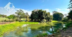 Oportunidade de Chácara com Lago – Bairro Jundiaquara