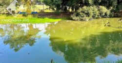 Oportunidade de Chácara com Lago – Bairro Jundiaquara