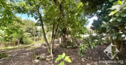 Chácara com Área gourmet e Pomar em Araçoiaba da Serra/SP