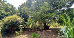 Chácara com Área gourmet e Pomar em Araçoiaba da Serra/SP