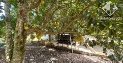 Chácara com Área gourmet e Pomar em Araçoiaba da Serra/SP